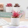 Decorative Flowers 3 Pcs Succulents Plants Artificial Fake Faux In Pots Potted For Home Decors