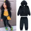 Kids Clothing Sets Sweaters Hoodies Fashion Autumn Girl Boy Sweatshirts Toddler Baby pleuche Coats Tops +pants 2pcs Suit Children Tracksuit