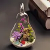 Vasi Nordico Fioriera a forma di pera di mela Vaso di vetro trasparente Pianta idroponica Fiore Terrario Ornamenti Artigianato Decorazione da tavolo per la casa