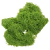 Decorative Flowers Simulated Moss Turf Plant Decor Artificial For DIY Project False Crafts Potted Planter Silk Cotton Fake Green