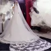 Düğün Accories Mariage 3m Düğün Peçe ile tarak Dantel Kenar Katedral Düğün Dökme Gelin Peçe Velos de Novia Largos Y79i#