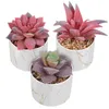 Decorative Flowers 3 Pcs Succulents Plants Artificial Fake Faux In Pots Potted For Home Decors