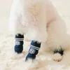 Hundkläder 4st Casual Cat Socks Print Design Puppy Winter Protector Shoes Söta små medium hundar varma för hösten