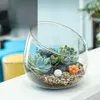 Vazen Creatieve Micro Landschap Glazen Vaas Grote Schuine Mond Aquascape Succulente Mosplant Hydrocultuur Home Decor