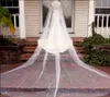 shiny Cathedral One Layer Wedding Bridal Veil Ivory Champagne Color With Comb Customized veil and Wedding Accories h7io#