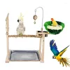 Andra fågelförsörjningar Parakeet Playground Inside Cage Small Stand Wood Activity Spela Claw Slip Toy For Lovebird Budgie Cockatiel