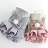 Dog Apparel Pet Dress With Multi-layer Skirt Two-leg Hooded Stylish Bow-tie Ball For Small Autumn