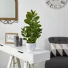 Decorative Flowers 22" Zamioculcas Artificial Plant In White Planter Green