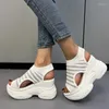 Sapatos de vestido 2024 sola grossa de malha moda estilo esportes cunhas sandálias grandes mulheres deslizamento em conforto casual clássico