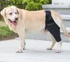 Vestuário para cães Pet Joint Brace Fratura Deficiência Fixa Joelho Perna Assist Strap Suporte Pequeno e Médio Protetor