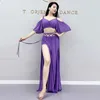 Mulher roupas traje de dança do ventre conjunto cintura alta divisão lg saia prática roupas feminino adulto dança desempenho h3w4 #