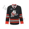 24s 2019 # Niagara Icedogs University College Hockey Jersey broderie cousée personnaliser n'importe quel numéro et nom de maillots