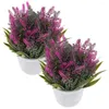 Flores decorativas 2 pçs planta artificial lavanda plantas de interior vasos bonsai pequeno plástico falso ornamentos decorações para festa