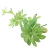 Dekorativa blommor Julsimulering Växt Succulent Decorations Faux Succulents Picks Plastic Home