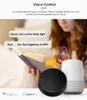 Corui Tuya WiFi IR Remote Control App Control Smart Universal Infrared Remote för AC TV DVD -användning med Alexa Google Home Assistant