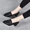Dress Shoes Summer Casual Fashion Pointed Toe Square Heel Hollow Sandals Sexy Elegant Banquet Comfortable Women's High Heels NO:Z6