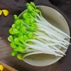 Dekorativa blommor 10 PCS Simulerade Bean Sprouts Showcase Display Props Modeller grönsaker Fake Dekoration Artificial Decors PVC Livselliknande