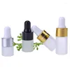 Bouteilles de stockage 1 ML 2 3, bouteille d'huile essentielle vide en verre givré, récipient cosmétique, emballage de maquillage, compte-gouttes d'essence