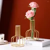 Wazony żelaza sztuka hydroponiczna szklana szklana ornament Ozdoba geometryczna linia rama salon Kwiat Kwiatowy do domu Decorat V3v9