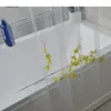 Tende da doccia 1PC trasparente impermeabile PEVA bagno con ganci trasparente accessori per il bagno di casa tenda