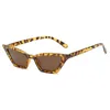 Солнцезащитные очки «кошачий глаз» для женщин, винтажная маленькая оправа, уличные оттенки, модные классические женские винтажные солнцезащитные очки, уличные очки