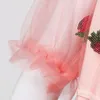 Casual Dresses Women Strawberry paljetter Meshery Mesh Round Neck Tunic Party Dress Bride Female Luxury Vestidos Para Mujer Pretty