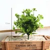 Flores decorativas para casa decoração realista interior ao ar livre verde artificial sorte suculenta grama escritório diy arranjo de plantas falsas