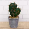 Decoratieve bloemen Decor Kleine ornamenten Kunstmatige tropische planten Indoor Simulatie Cactus Pot Ingemaakt