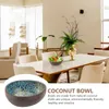 Bowls Coconut Bowl Shell Key Container Storage Home Ornament Decor Decoration Desktop Adorn Decorate