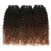 Brasileño Afro Curly Human Hair Bundles Ombre Weaving Remy Remy Human Hair Extensions 1/3/4 Bundles Kinky Curly Hair Bundles