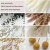 Natural Boho Torked Flowers Eucalyptus Bunny Tail Pampas Gräs Fullt bevarad Bouquet Diy Wedding Mothers Party Presentrum 240315