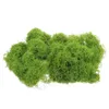 Dekorativa blommor Simulerade Moss Turf False Faux Decor Fake For DIY Crafts Simulation Plants Inomhus