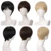 Perruques aiiliade synthétique noire de perruque d'hommes courts perruques raides pour la femme hair réaliste brun naturel pour le cosplay anime fête quotidiennement