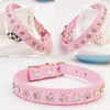 Fashion Ins Hot Bling Collar Collar Collar de perro lindo con Diamanti para gatos Perros pequeños