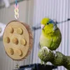 Autres fournitures d'oiseaux 2 pièces perroquet mâcher jouet mordre cage accessoires perruche en bois jouets suspendus à mâcher