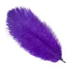 10pcs/Lot Purple Sttrich Piume per artigianato Decorazioni per feste per matrimoni Plumi da tavolo da strich Centrotavola colorato Decorazione di piume colorate