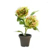 Dekorative Blumen Simulierte gefälschte Topfpflanze Pfingstrose Bonsai Home Decor Künstliche Blume Faux Desktop Ornament Bürotisch