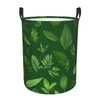 Sacs à linge divers imprimés de plantes carnivores, panier de rangement circulaire portable pour panier avec poignées pour vêtements de chambre à coucher