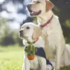 Hundkläder Poop Pickup Väskor Holder Dispenser Cactus Shaped Portable för poo promenad