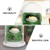 Vases 2 PCS Bell Dome Cloche avec verre de base en verre Terrarium Couvercle Cake Dissert Affichage décoratif Case décorative pour les plantes succulentes