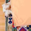 Couvertures Flanelle Couverture Fuzzy Fluffy Cozy Serviette Microfibre Canapé Douche Pour Canapé-lit