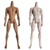 Original Ken Adonis Muscle Body White Latino Skin Tone 1/6 Dolls Fogar Moverble Manlig dock Body