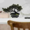 Flores decorativas planta simulada bonsai mini vaso de grama modelo mesa árvore falsa exibição realista artificial