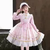 Geweldig uitziende feestelijke kinderjurk Girl Princess Dress jurk met lange mouwen