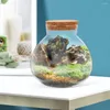 花瓶キッチンキャニスターマイクロランドスケープ生態学的ボトル植木鉢装飾的な造園コンテナ