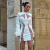 Casual Dresses Sexy See-through Feathers Sleeves Semi-turtleneck Bandage Bodycon Dress Fashion Evening Party Performance