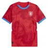 2024 Maillots de football de la République tchèque 24 25 NEDVED NOVOTNY POBORSKY CHYTIL Maillot de football à domicile SCHICK HLOZEK SOUCEK SADILEK LINGR Uniforme de l'équipe nationale des hommes