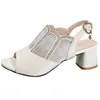 Sandals Elegant Female Shoes Chunky Heel Summer Fish Mouth Hollowed Out For Women Lace One Word Buckle Strap Zapatos