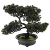 Decorative Flowers Plant Simulated Bonsai Mini Grass Pot Model Desk Fake Tree Artificial Realistic Display