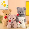 Hurtownia urocza róża niedźwiedzia Plush Toys Walentynkowe Dekoracja pokoju prezentowego